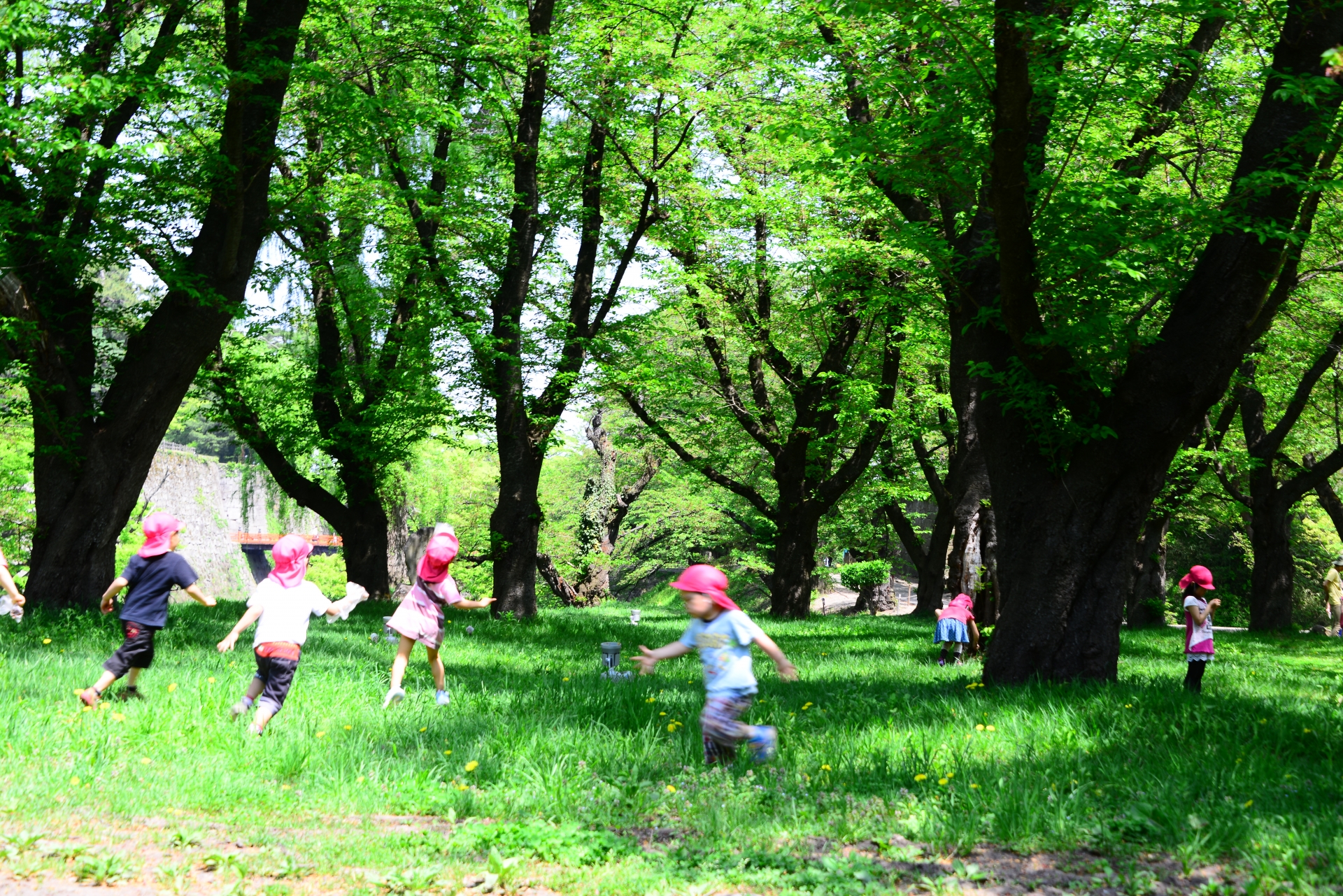 子どものアレルギー性鼻炎