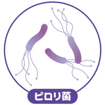胃がんの原因ヘリコバクターピロリ菌とは?