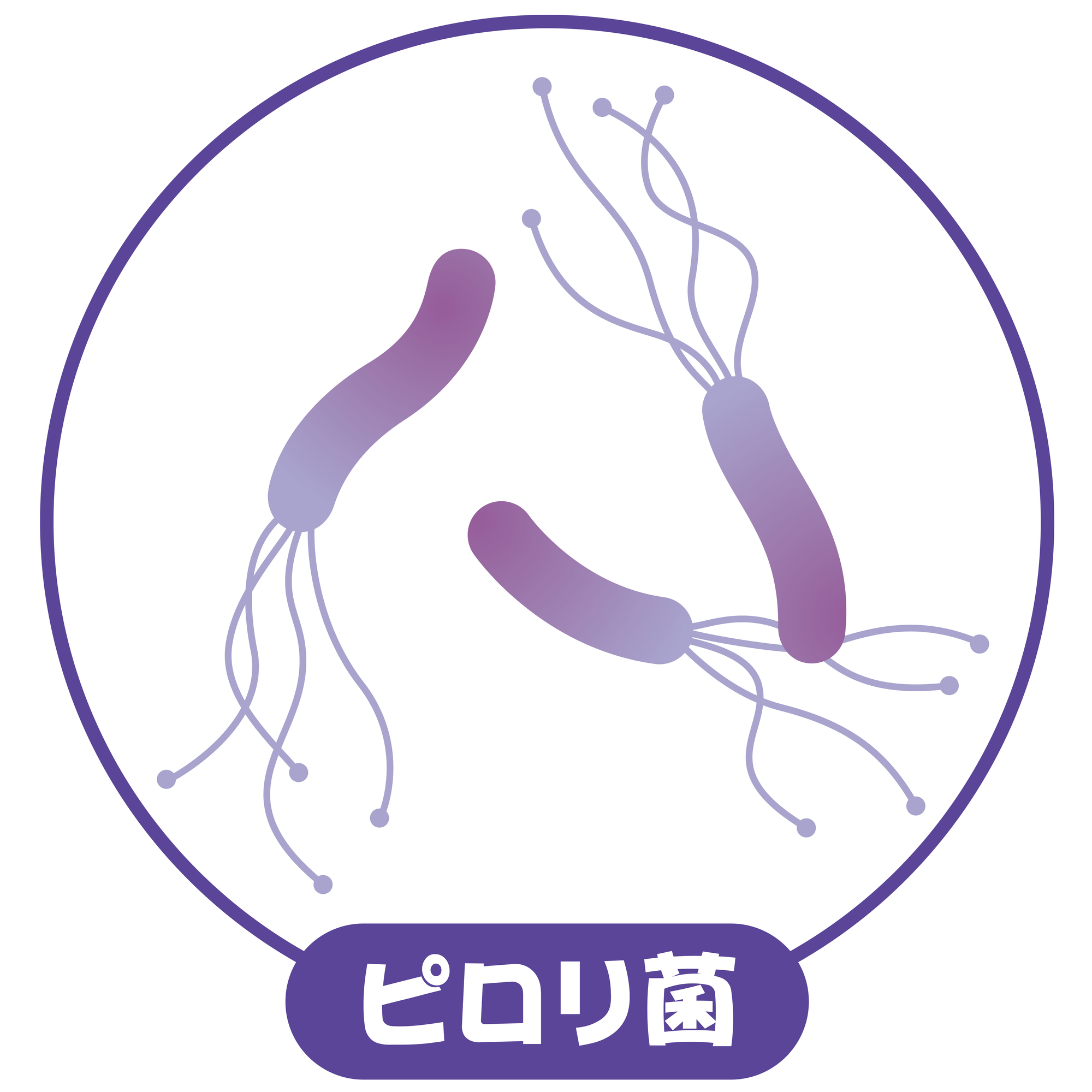 胃がんの原因ヘリコバクターピロリ菌とは?