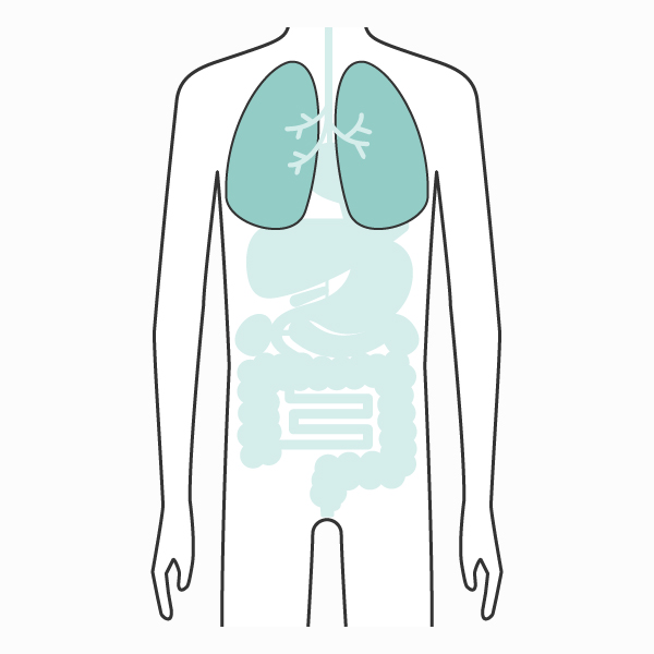 肺・呼吸器の病気を調べる｜病気スコープ